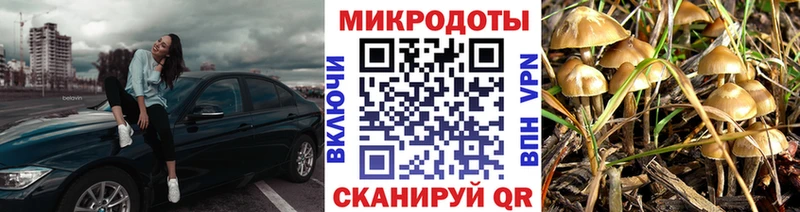 Купить закладки  Луга  Псилоцибиновые грибы мухоморы 